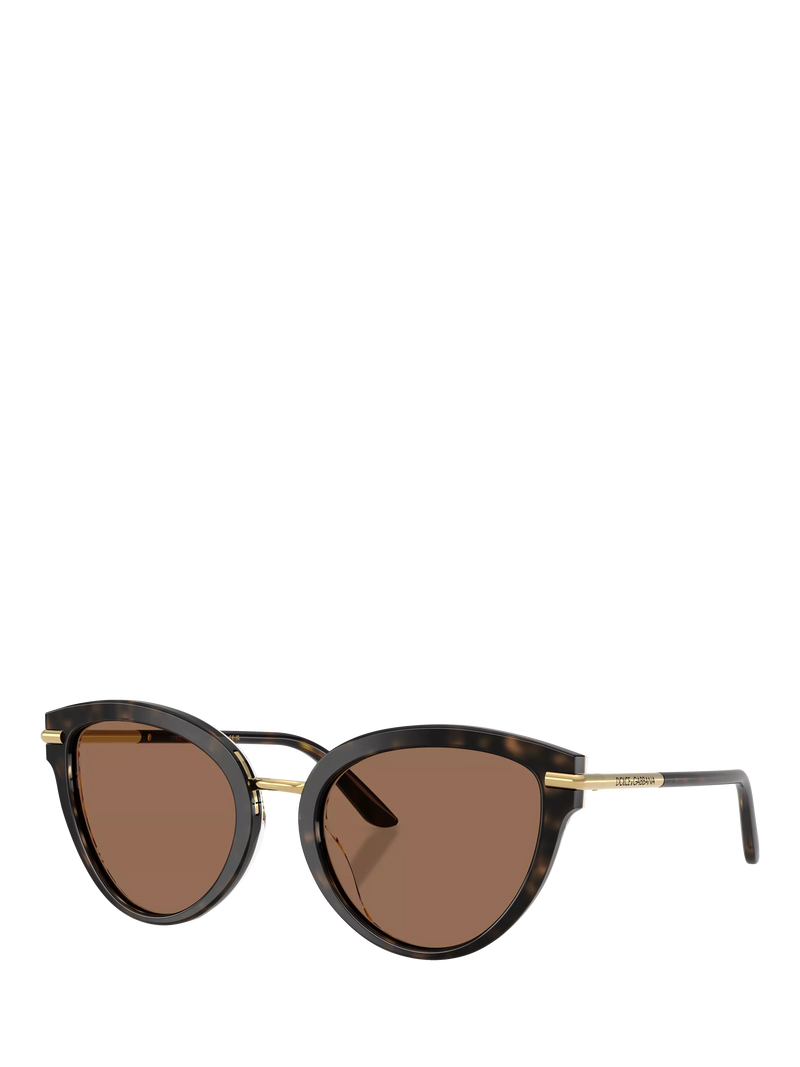 Dolce & Gabbana women's butterfly sunglasses Havana Brown (British brand)
