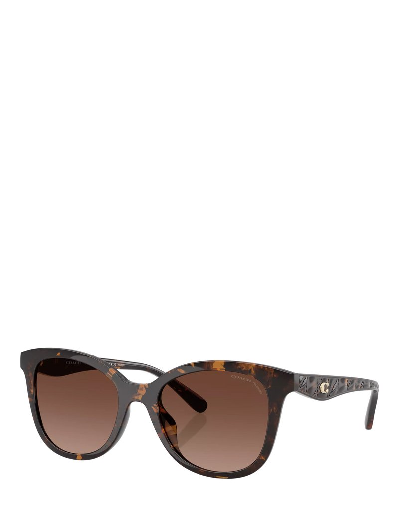 Coach D-frame polarised gradient brown sunglasses, UK version
