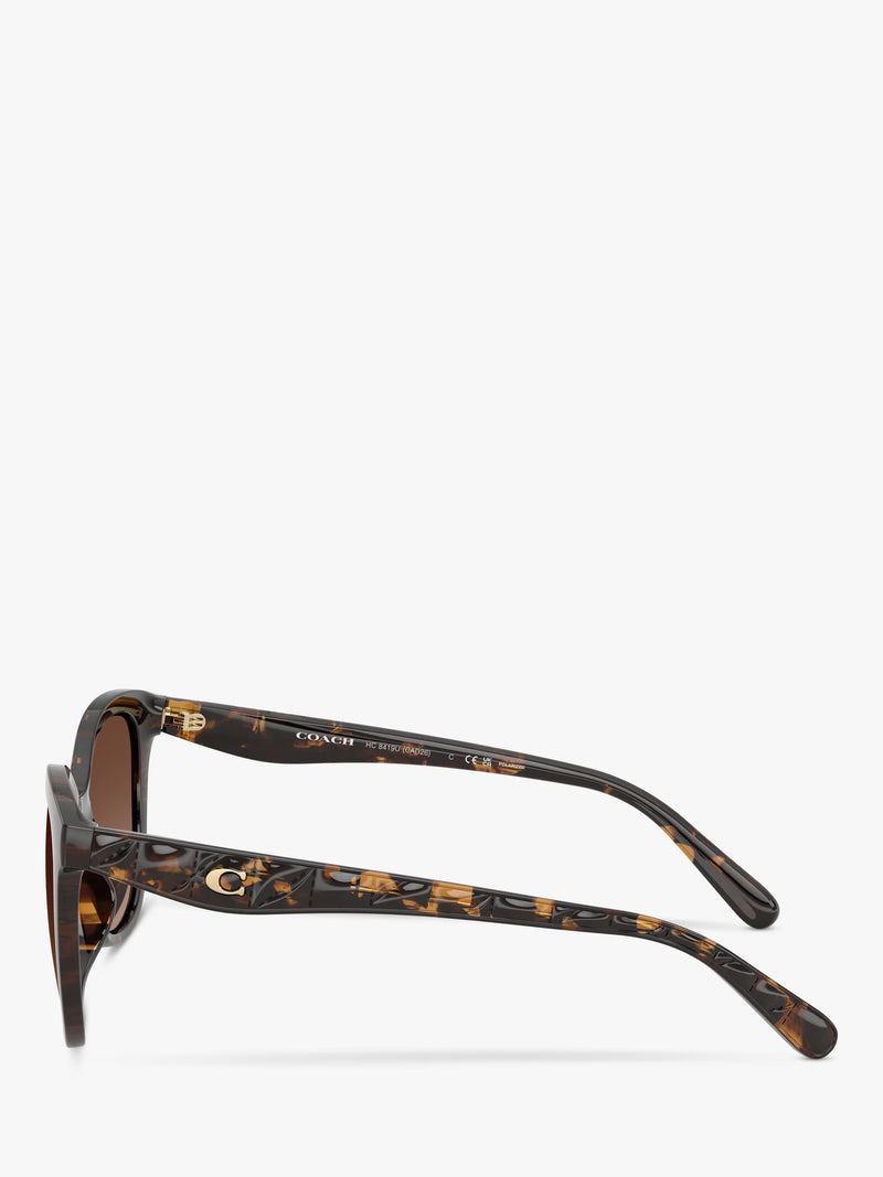 Coach D-frame polarised gradient brown sunglasses, UK version