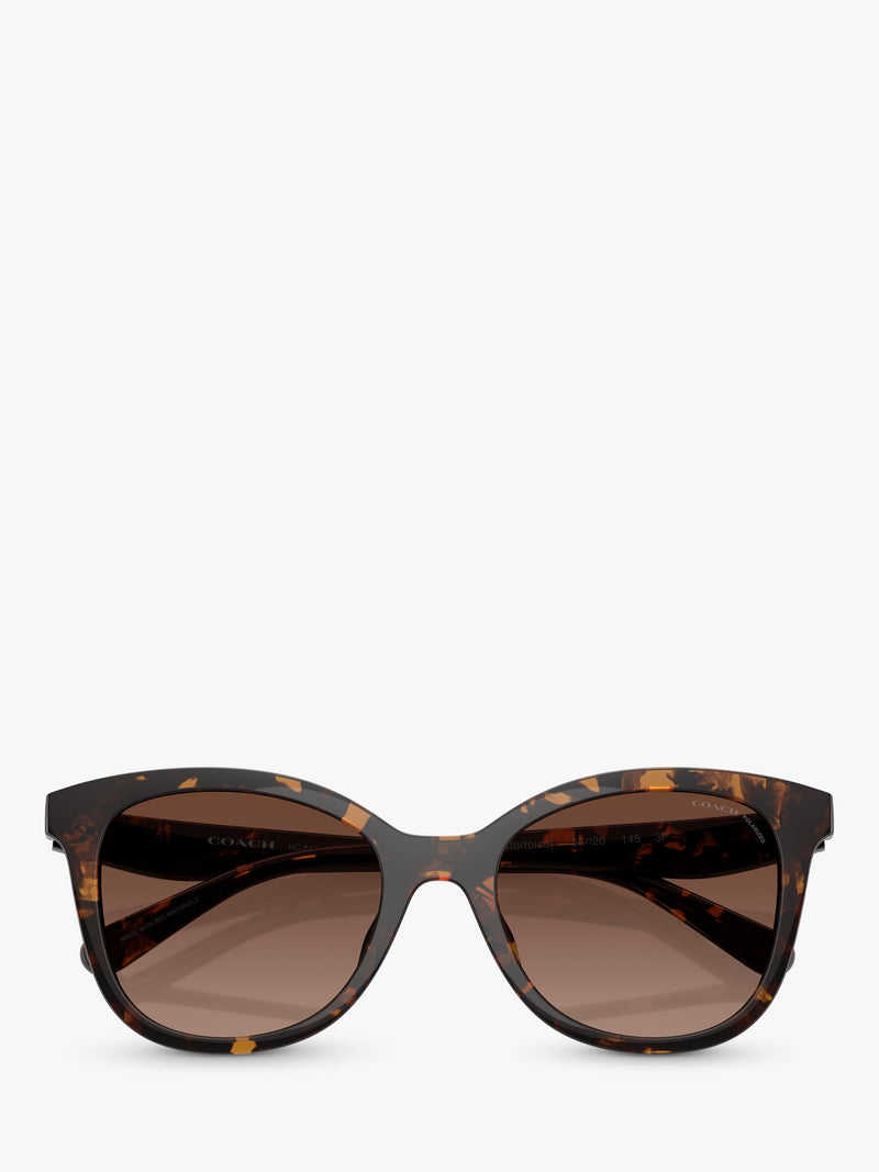Coach D-frame polarised gradient brown sunglasses, UK version