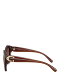 Coach polarised irregular sunglasses brown frame gradient lenses - British product
