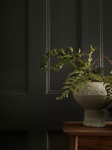 John Lewis The Little Greene Paint Company Absolute Matt Emulsion Dark Greys Interior Paint 2500ml- Buy online at McGrocer