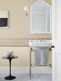 The Little Greene Paint Company Absolute Matt Emulsion Interior Wall and Ceiling Paint, Mid Stone Neutrals, 2500ml