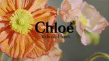 Chloé Hysope perfumed shower gel 300ml, imported from the UK
