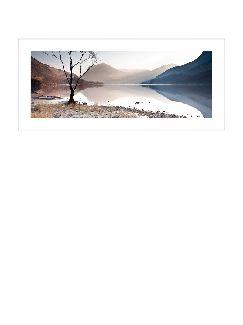John Lewis Buttermere Tree print 49.5x104.5cm, imported from the UK