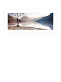 John Lewis Buttermere Tree print 49.5x104.5cm, imported from the UK