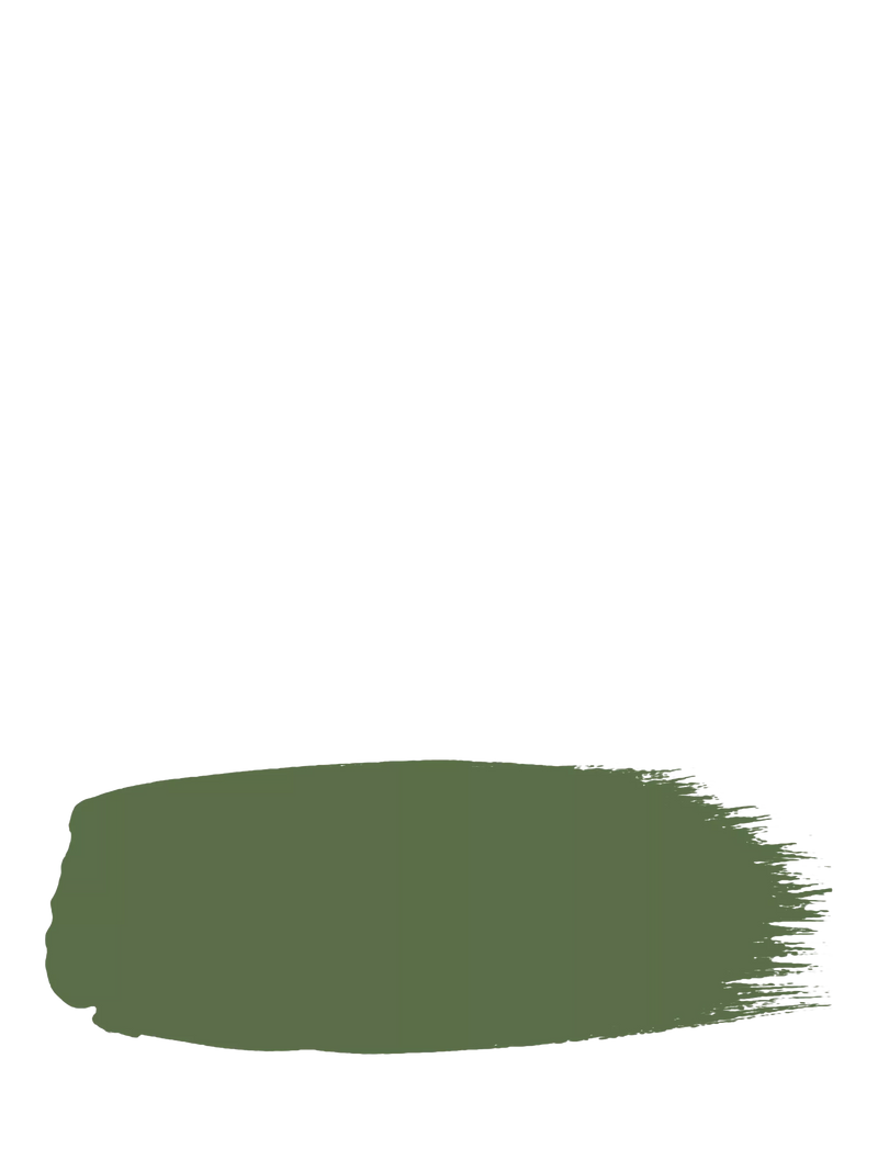 The Little Greene Paint Company Intelligent Matt Emulsion Strong Greens 2500ml