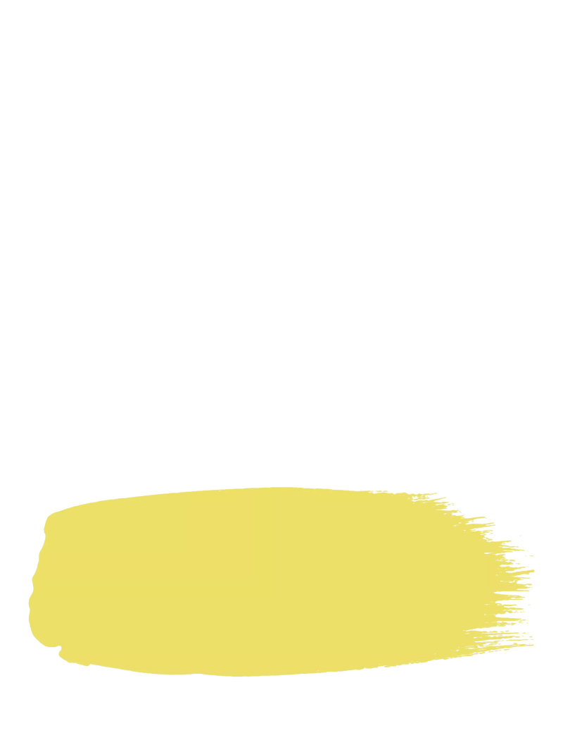 The Little Greene Paint Company Intelligent Matt Emulsion yellows 2.5L, UK version