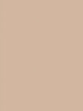 The Little Greene Paint Company Intelligent Matt Emulsion Paint, Mid Stone Neutrals, 5L