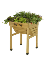John Lewis VegTrug Kids' Outdoor Small Planter, 49cm, FSC-Certified Cedar Wood, Natural- Buy online at McGrocer