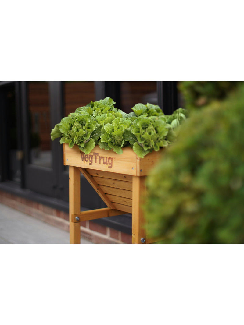 VegTrug kids outdoor natural planter 49cm, UK version