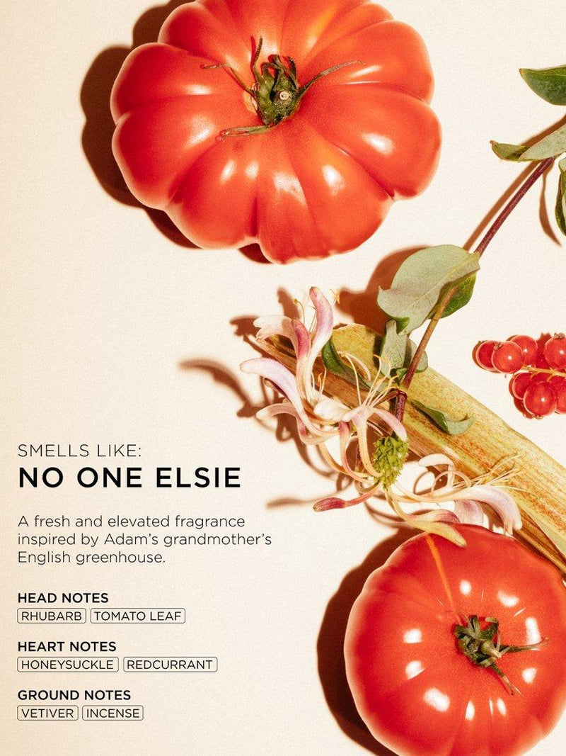 ARKIVE No One Elsie Eau de Parfum 50ml, imported from the UK