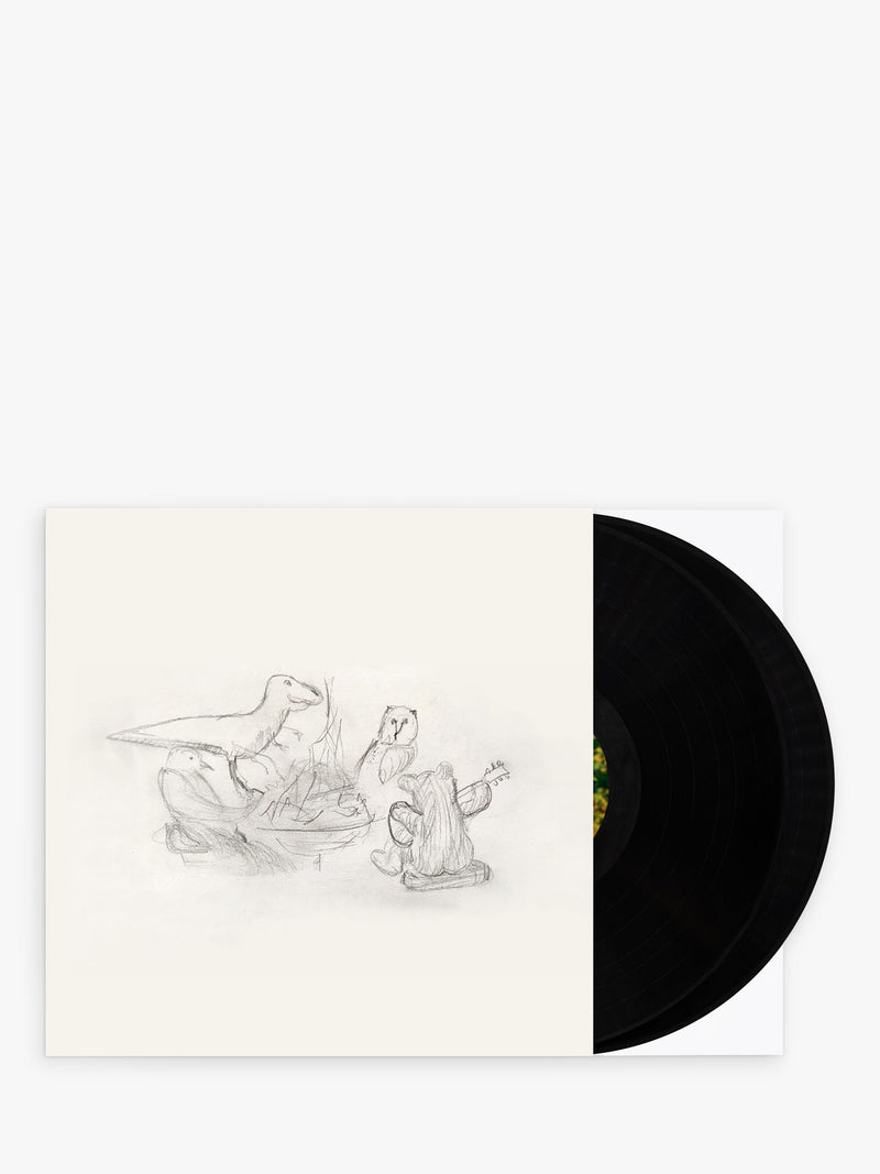 Big Thief Dragon New Warm Mountain vinyl record, imported from the UK