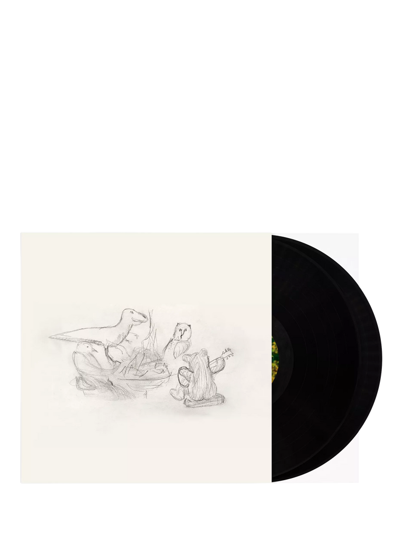 Big Thief Dragon New Warm Mountain vinyl record, imported from the UK