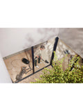 Miele Guard M1 Cat & Dog Flex cylinder vacuum cleaner - British product