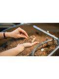 beanz coffee Pillar 250g (British brand)