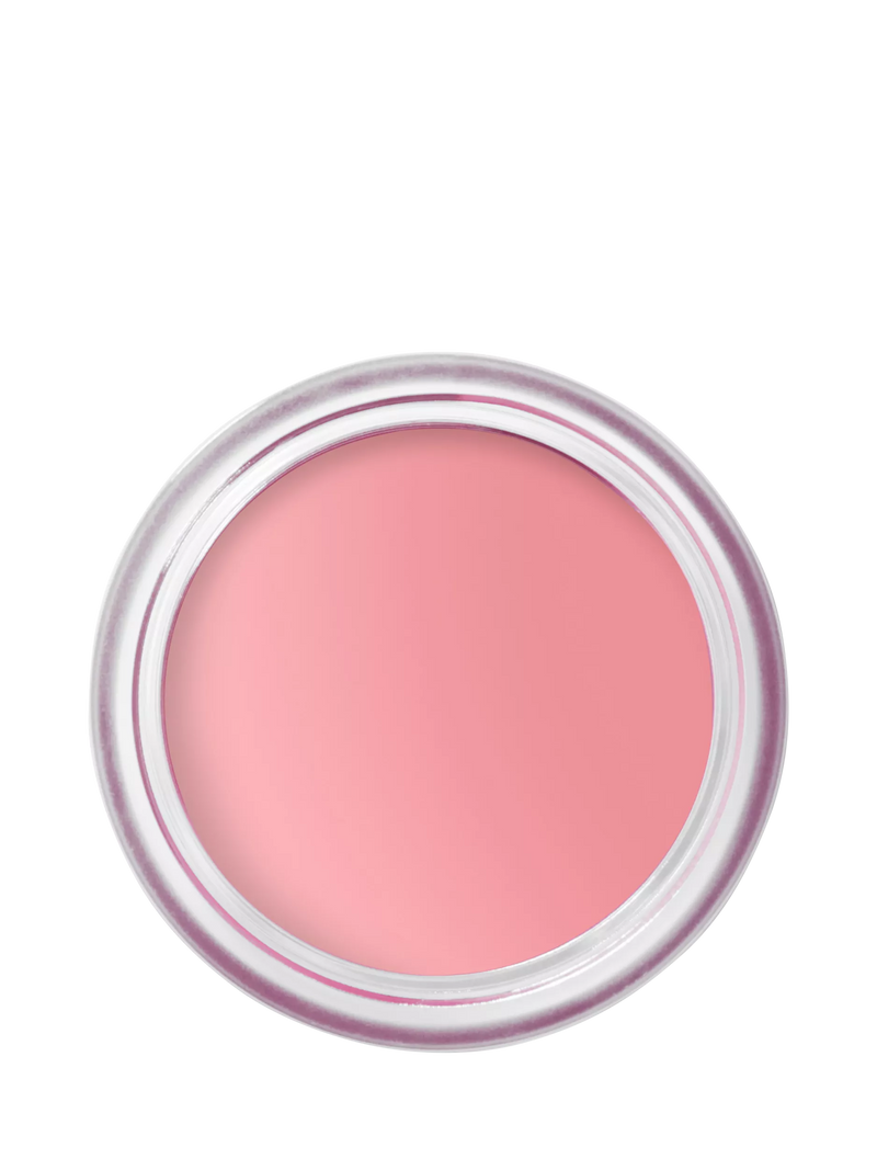 Bobbi Brown Pot Rouge Matte Blush for Cheeks and Lips 8.5g