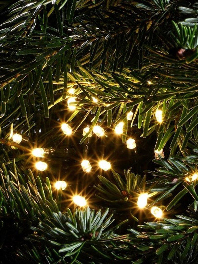 NOMA 360 LED warm white string lights, imported from the UK