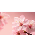 Rituals Sakura Shimmering Body Spray 150ml - British product