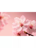 Rituals Sakura Shimmering Body Spray 150ml - British product