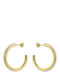 Ted Baker pearl hoop earrings medium, imported from the UK