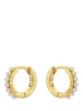 Ted Baker pearl huggie earrings gold, imported from the UK