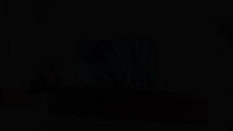 Sony Bravia 3 TV 50 inch, imported from the UK