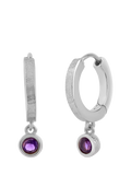 Tutti Birthstone Hoop Earrings Silver