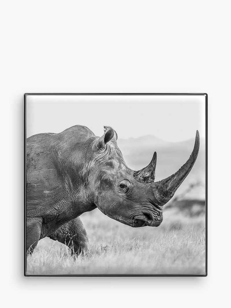 Chantecaille Luminescent Eye Shade Rhinoceros 2.5g (British brand)