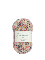 John Lewis West Yorkshire Spinners Butterflies 4 Ply Knitting Yarn 100g- Buy online at McGrocer