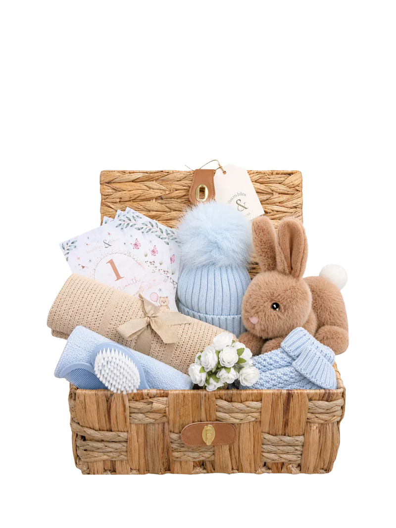 Bumbles & Boo baby boy gift hamper in water hyacinth basket (British brand)