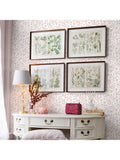Laura Ashley Shepherds Purse Dark Blush wallpaper 10m x 52cm (British brand)