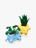 LEGO Botanicals Happy Plants building set 217 pieces, imported from the UK