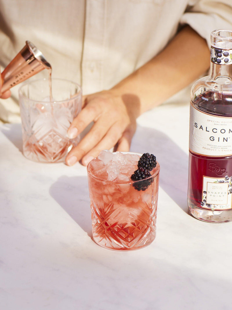 Salcombe Distilling Co Sloe Gin 50cl (British brand)
