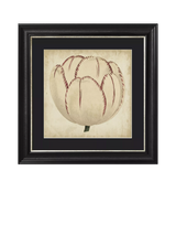 John Lewis Brookpace Lascelles Pop Floral I Framed Print, Black/Cream, 49 x 49cm- Buy online at McGrocer