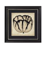 John Lewis Brookpace Lascelles Pop Floral IV Framed Print, Black/Cream, 49 x 49cm- Buy online at McGrocer