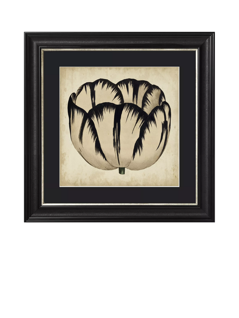 Brookpace Lascelles 'Pop Floral IV' framed print 49x49cm, UK version