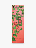 LOEWE Tomato Incense Sticks Refill bamboo, imported from the UK