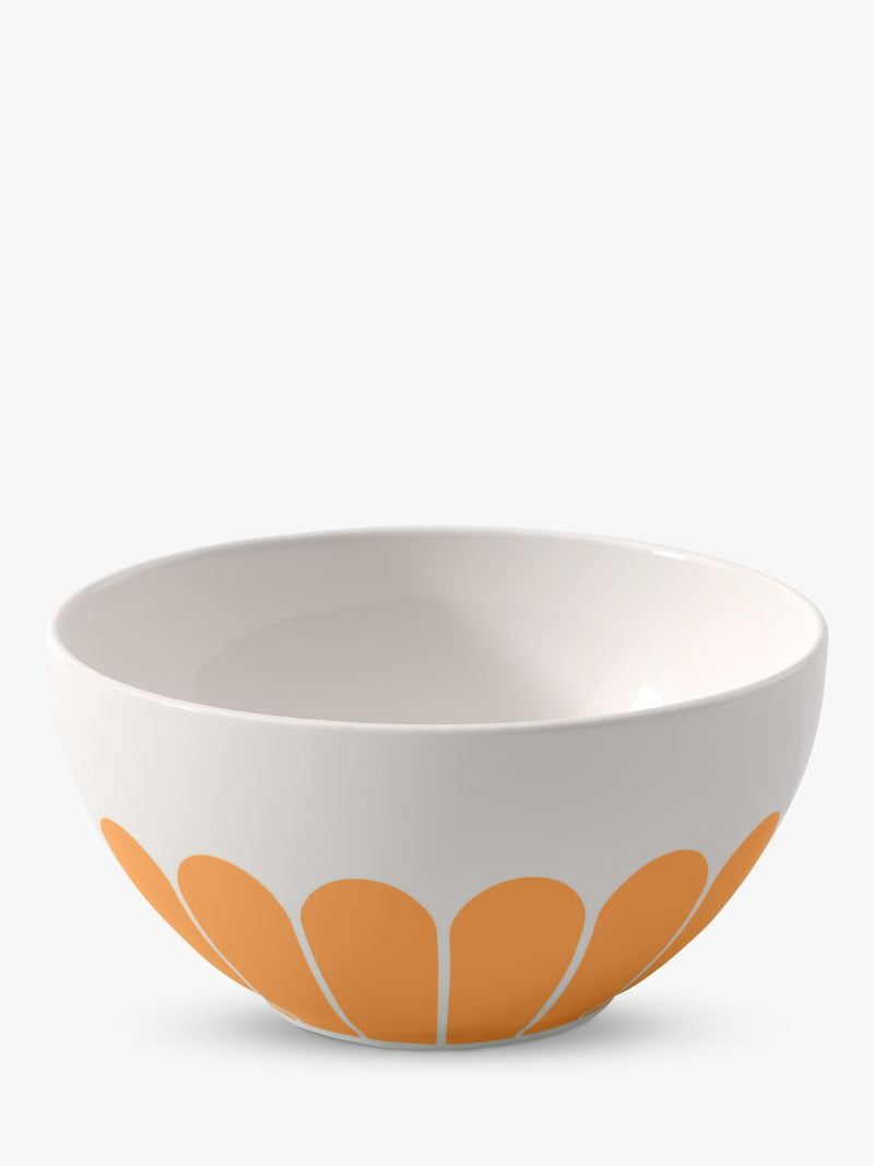 Villeroy & Boch porcelain cereal bowl set of 2, 14cm diameter (British brand)