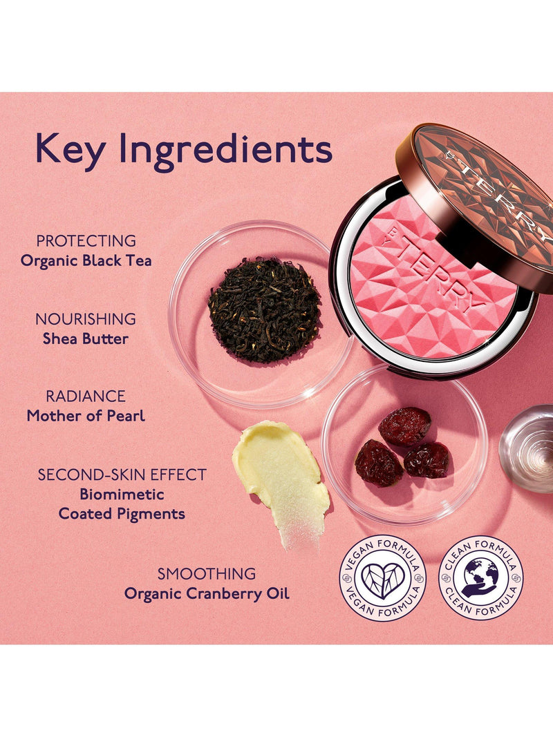 BY TERRY TEA to TAN powder blush 7g, imported from the UK
