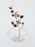 John Lewis wide urn glass vase 14cm clear, imported from the UK
