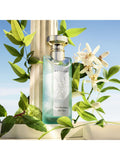 BVLGARI Eau de Toilette Eau Parfumée Au Thé Vert 150ml (British brand)