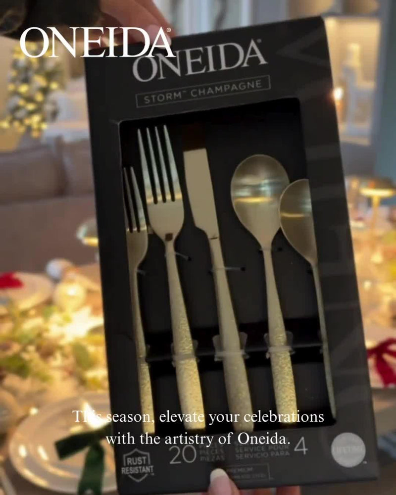 Oneida cutlery set Storm champagne 20 piece (British brand)