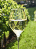 Chef&Sommelier Exaltation crystal wine glasses set of 6 470ml, imported from the UK