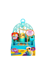 John Lewis Little Live Pets My Really Real Bird & Cage Indie the Budgie- Buy online at McGrocer