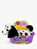 Little Live Pets interactive puppy toy Mini Pepper, UK version