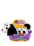 Little Live Pets interactive puppy toy Mini Pepper, UK version