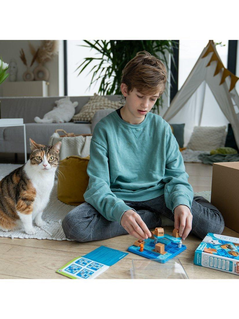 SmartGames Cats & Boxes puzzle game, imported from the UK