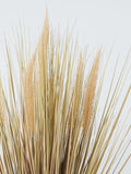 John Lewis dried grass in reactive glaze ceramic pot H61cm, UK version