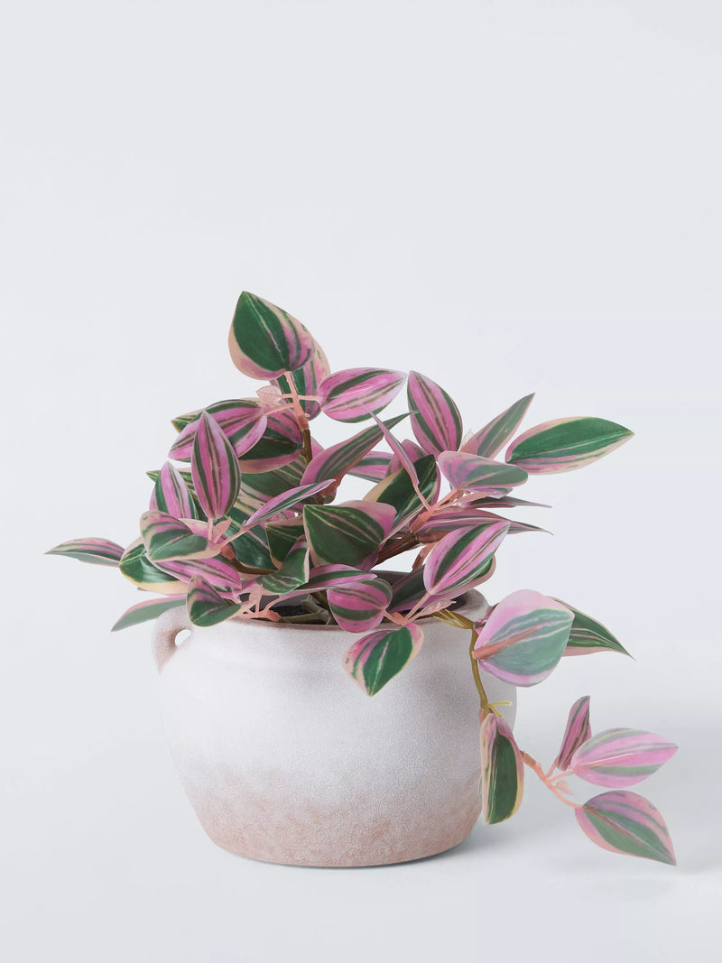 John Lewis artificial Tradescantia plant H23cm, imported from the UK